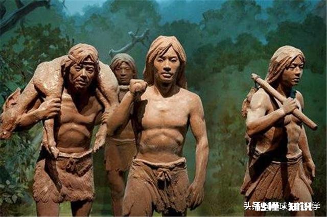 食物链中有最高统治者么