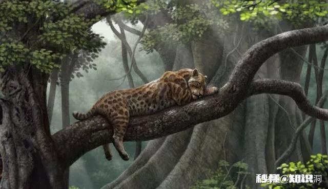 食物链中有最高统治者么