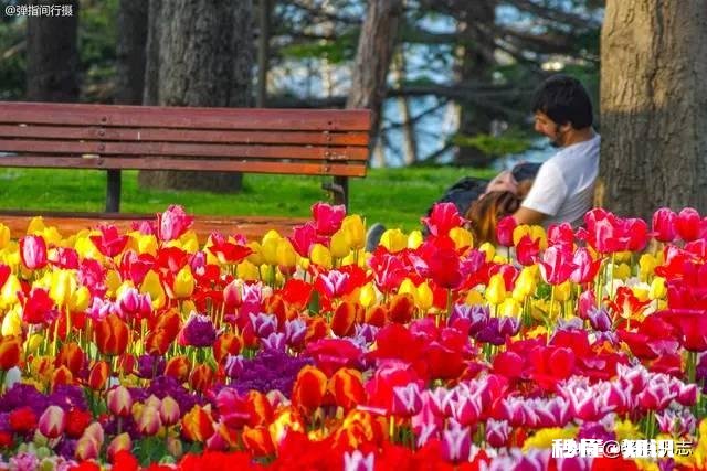 读了高中不上大学，会不会感觉还不如初中毕业就出去工作好