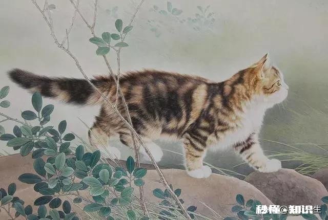 农村俗语，猪来穷狗来富，猫来头上顶白布。有何寓意和禁忌