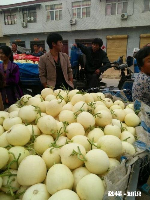 今年水果行业为什么难干