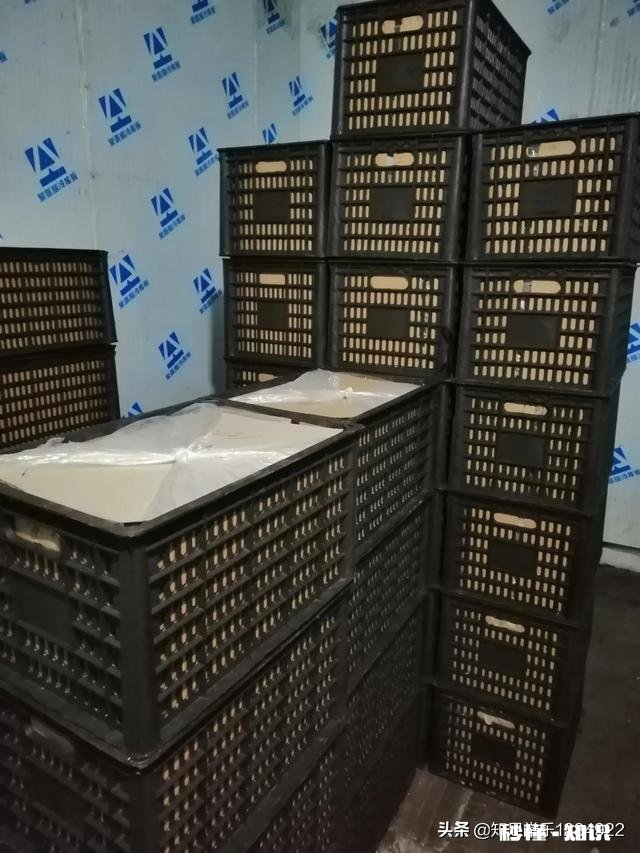 今年水果行业为什么难干