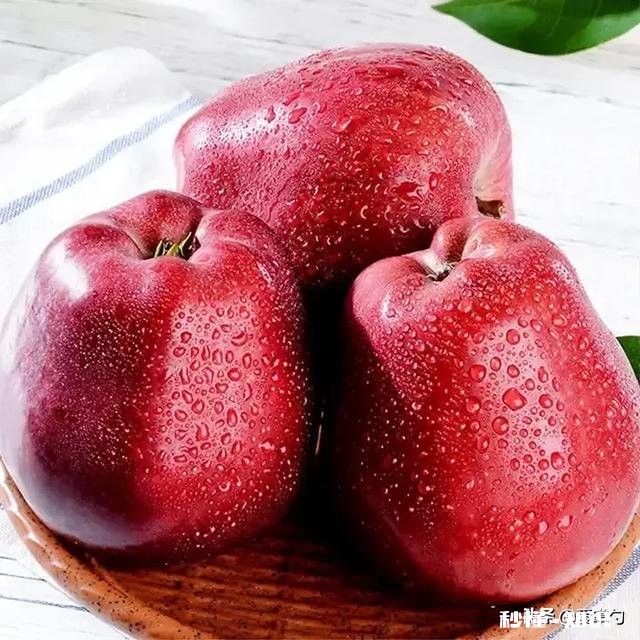 花牛苹果的独到之处在哪里