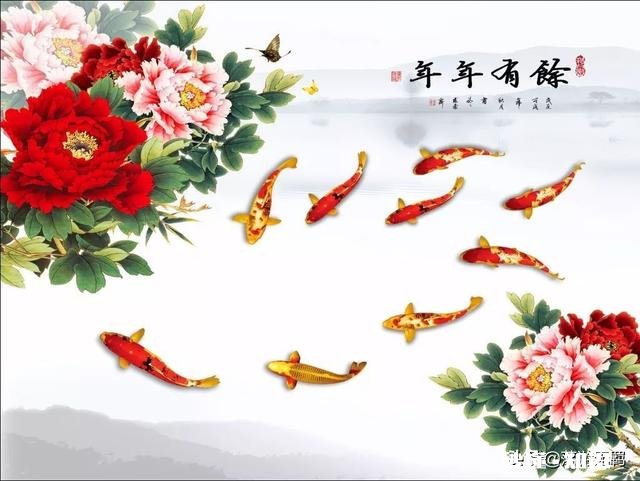 鱼塘面积小适合做高密度养殖吗如何做好