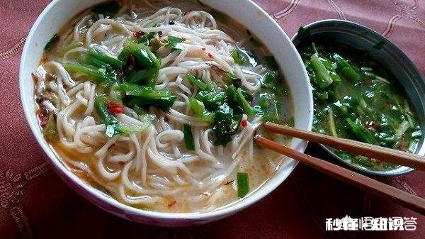 兰州除了“牛肉面”，还有哪些面食受欢迎