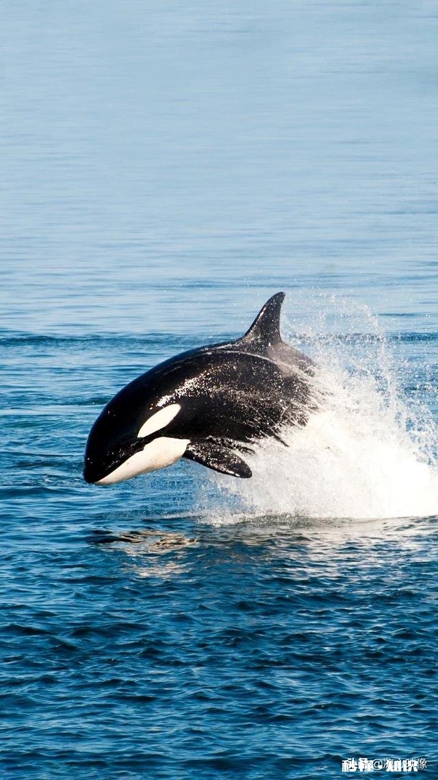 为什么人老是不停的干活，工作累不累啊，为的是什么