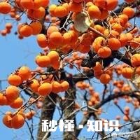 农村特色产品，还有多少是童年的记忆