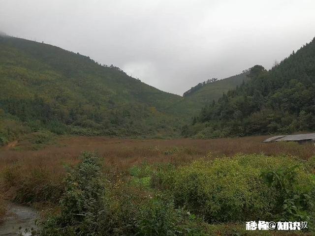 山地建养猪场每年收租多少钱一亩合适