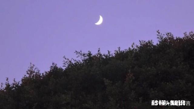 有哪些晚安心语经典的一句话语录