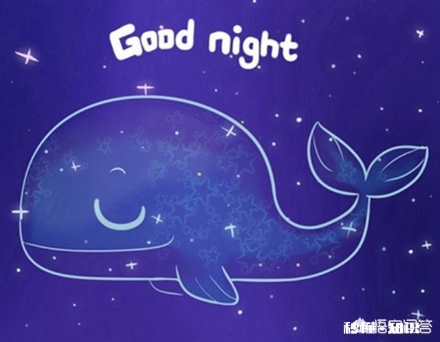 有哪些晚安心语经典的一句话语录