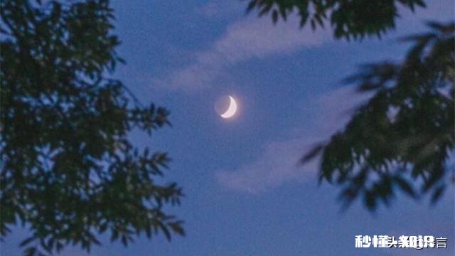 有哪些晚安心语经典的一句话语录