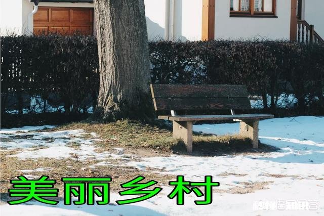 在有些农村里，不会打麻将的人会被村民们看不起，你怎么看待这样的现象