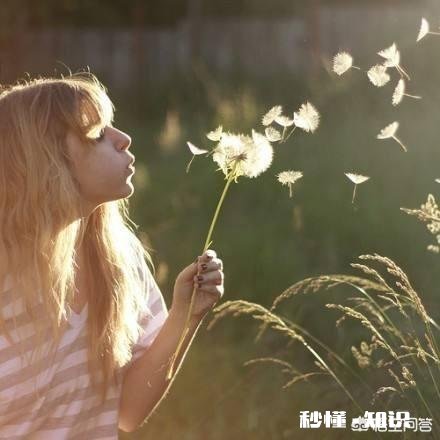 你有哪些长久的爱好或追求