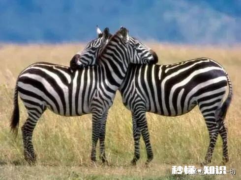 如果有下辈子，你还想遇见那个爱而不得的人吗为什么