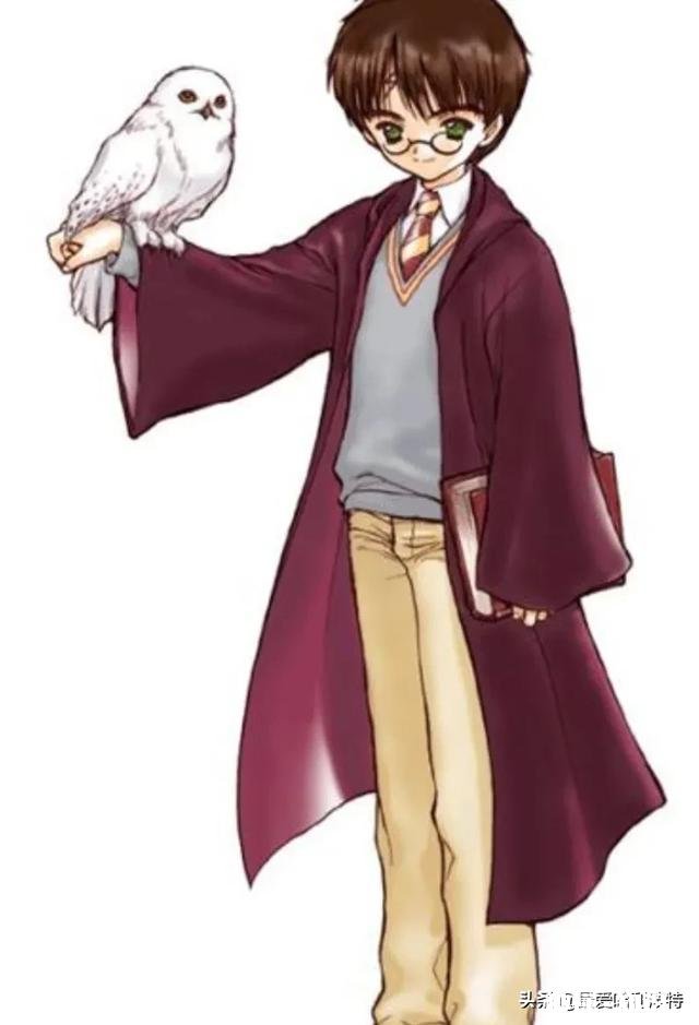 《哈利波特》如果哈利和父母一同被杀死，故事会怎么发展