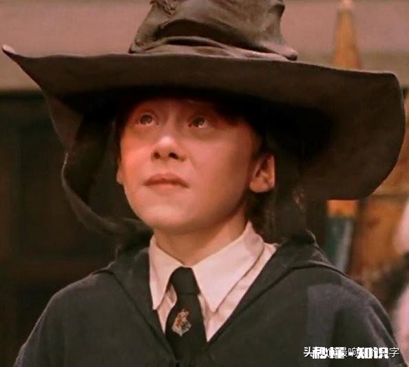 《哈利波特》如果哈利和父母一同被杀死，故事会怎么发展