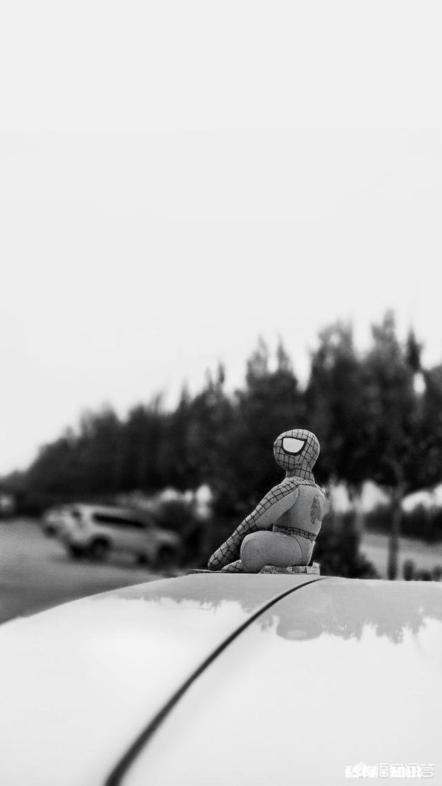 摄影给你带来了哪些好处