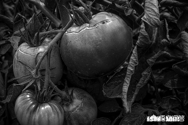 摄影给你带来了哪些好处