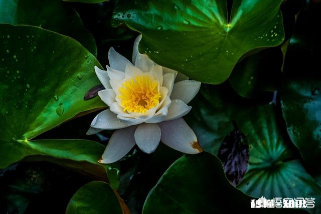 摄影给你带来了哪些好处