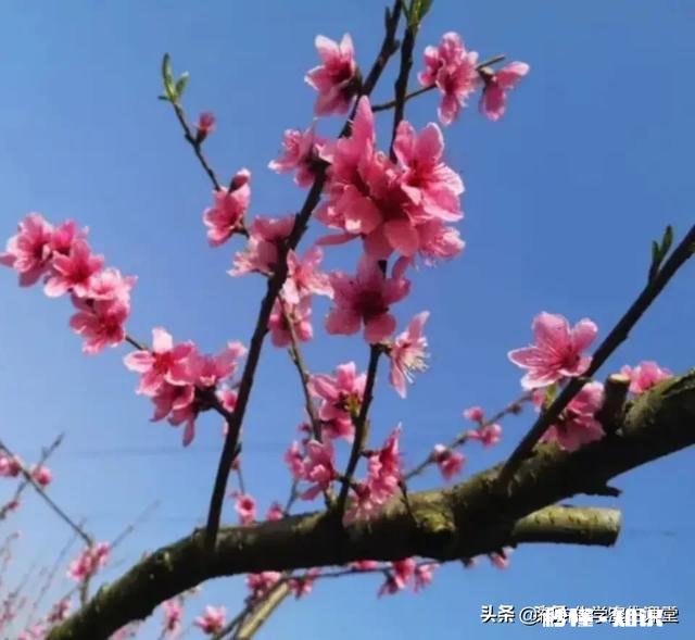 几年一次的县骨干教师评选，只认近三年来的材料，合理吗