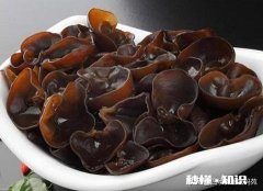 经常胃痛胃酸呕吐,检查说幽门螺旋杆菌超标,想问一下有什么食物可以调理幽门螺旋杆菌