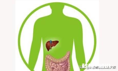 肚子右上侧疼是什么原因