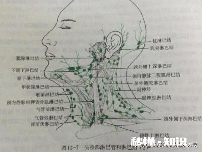 颈部有包块什么运动能消除