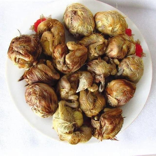 南方人来东北，有哪些食物从接受不了到尝试后就不忍放下的