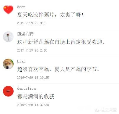 凉拌藕怎么做
