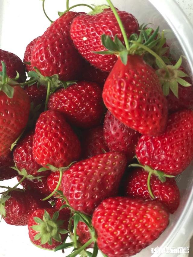 你家年夜饭都有哪些必不可少的美食