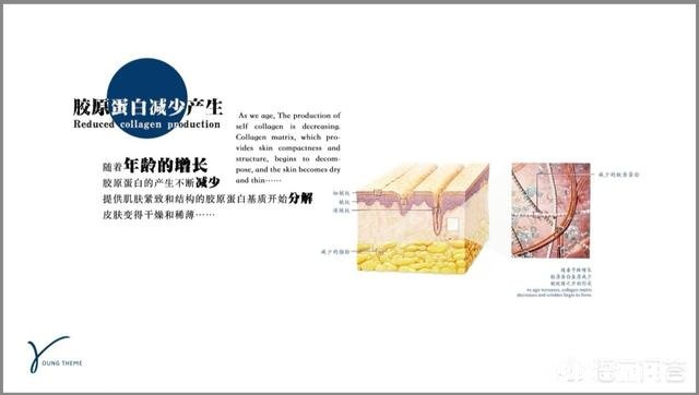 吃胶原蛋白肽真的对皮肤有什么帮助吗有什么科学依据吗