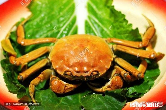 “螃蟹”在你们哪里叫什么怎么做比较好吃