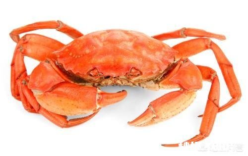 “螃蟹”在你们哪里叫什么怎么做比较好吃