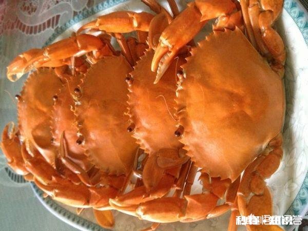 “螃蟹”在你们哪里叫什么怎么做比较好吃