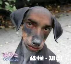 如何快速识别阅读头条文章中不认识的字