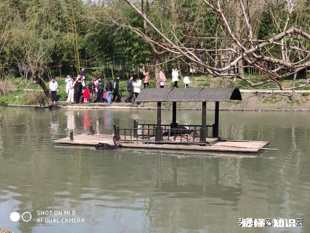 如果很熟悉的亲人骚扰你，你会反目成仇吗