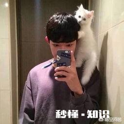 如果女生不回你信息，怎么做才能让她忍不住联系你