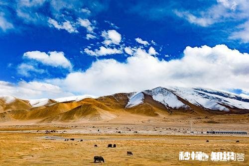 喀什到河南南乐自驾游有何攻略