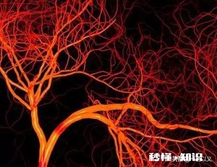 肝癌术后患者很容易复发吗