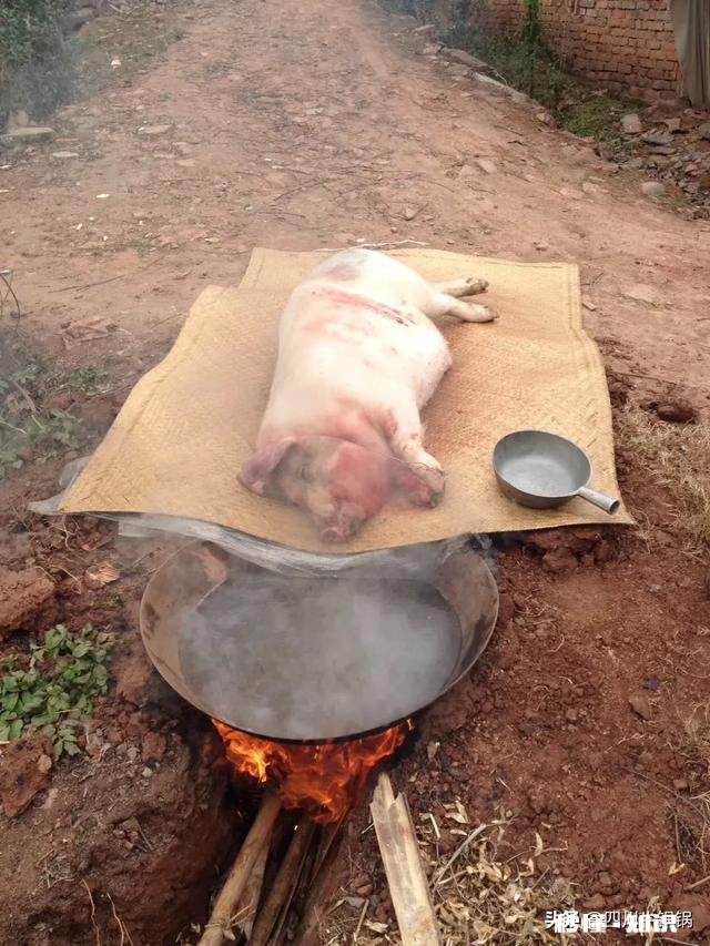 各位，能说说猪肉有哪些优点吗