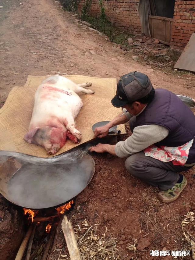 各位，能说说猪肉有哪些优点吗