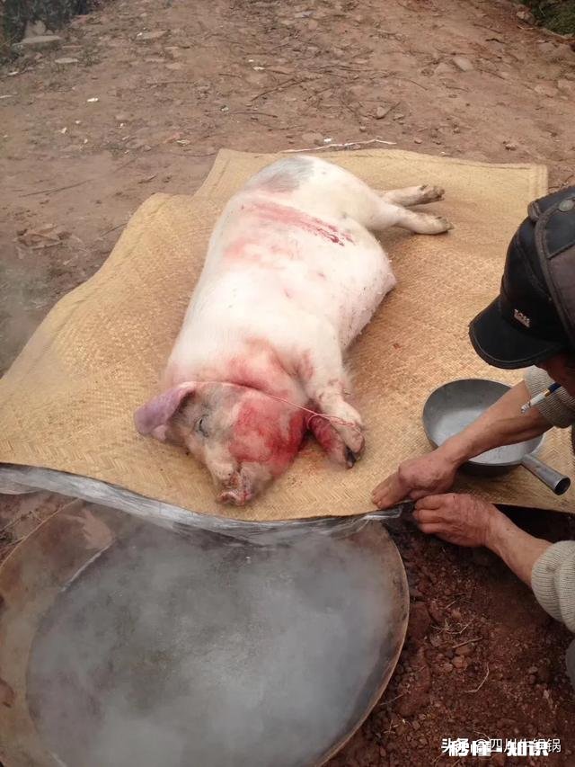 各位，能说说猪肉有哪些优点吗