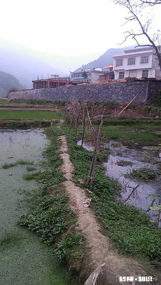 如果一年也就回家一两次，你们愿意老公回老家盖房吗