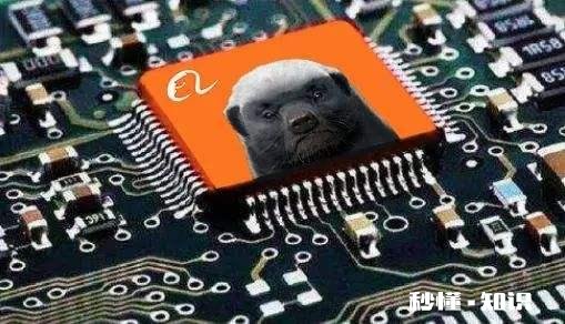 阿里的马云,美团的王兴,未来谁会更厉害为何