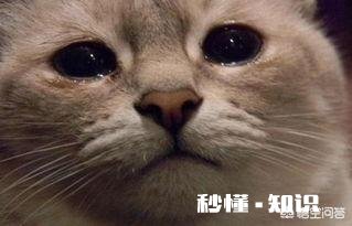 为什么感觉人生越来越艰难