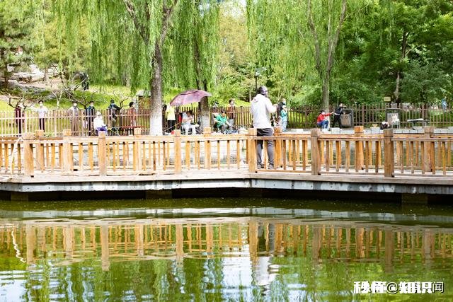 佳能85,1.8镜头有用的吗说说拍摄效果