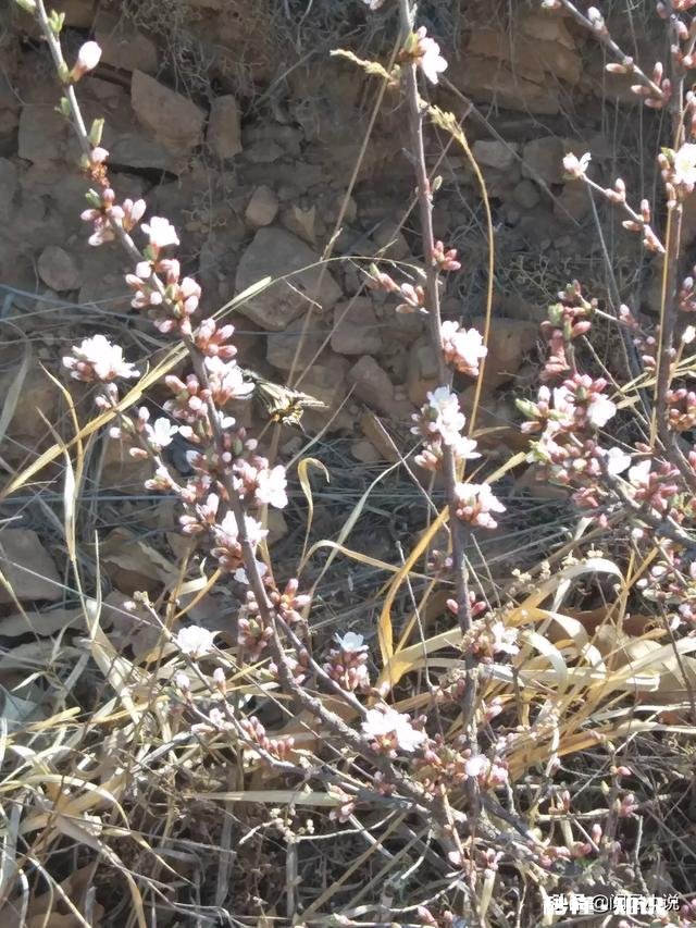 看了近10个女孩子,如何选对象