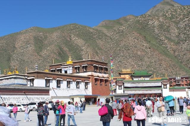 自驾去甘南，路况如何带老人行吗