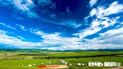 自驾去甘南，路况如何带老人行吗