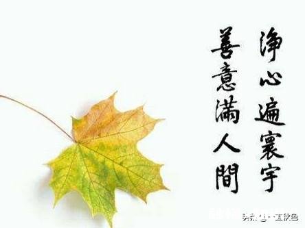 饶恕人是不是一种修养